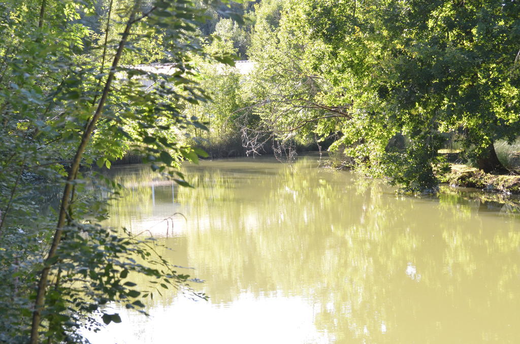 Chalet De La Heronniere Chef-Boutonne エクステリア 写真